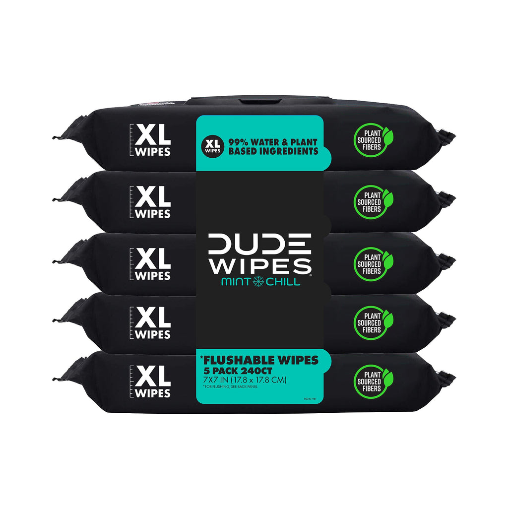 DUDE WIPES